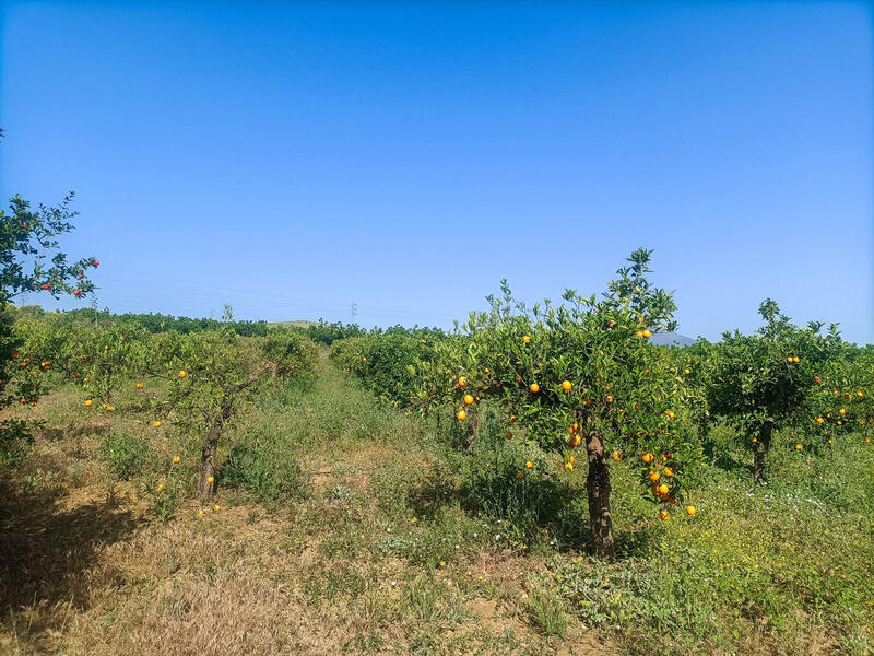 1 Cuarto Casa de Campo en venta