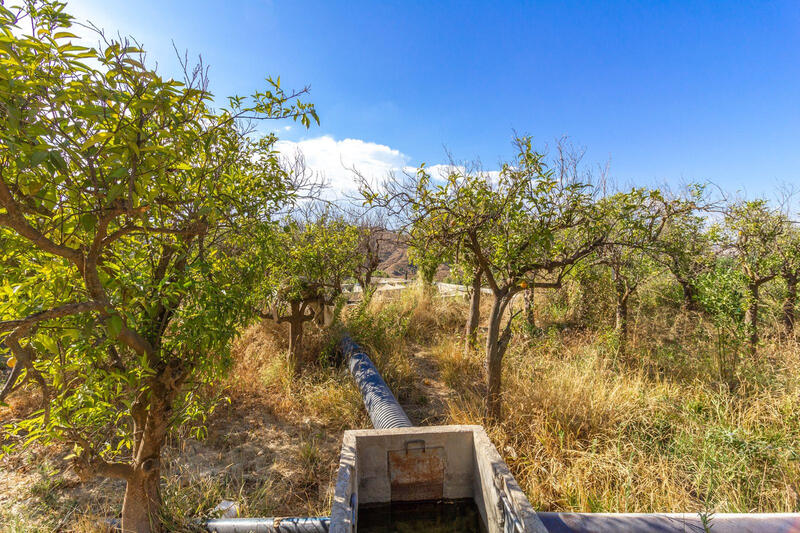 2 Cuarto Casa de Campo en venta