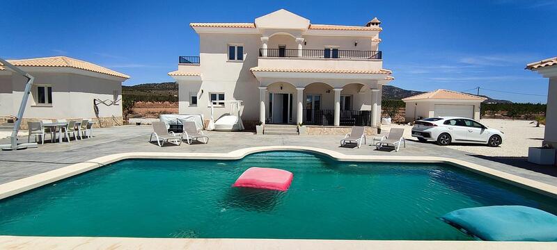 Villa for sale in Pinoso, Alicante