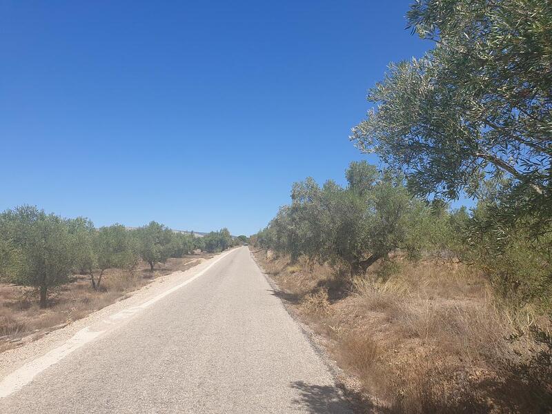 Land Te koop in Biar, Alicante