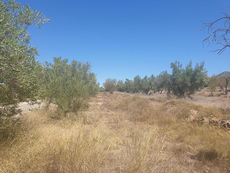 Land for sale