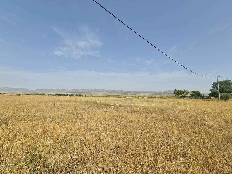 Land for sale in Yecla, Murcia