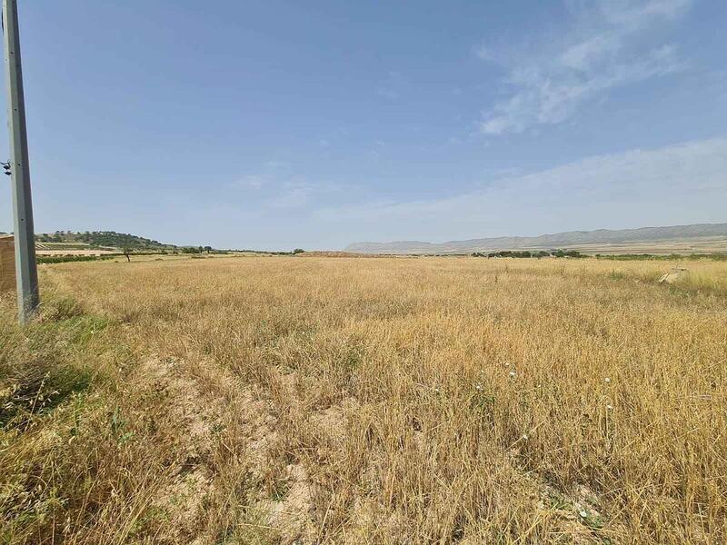 Land for sale