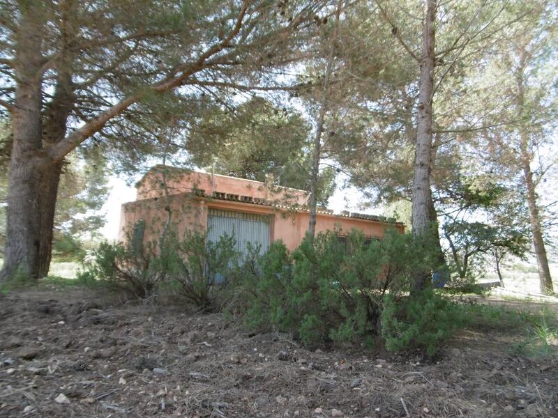 Villa for sale in Yecla, Murcia