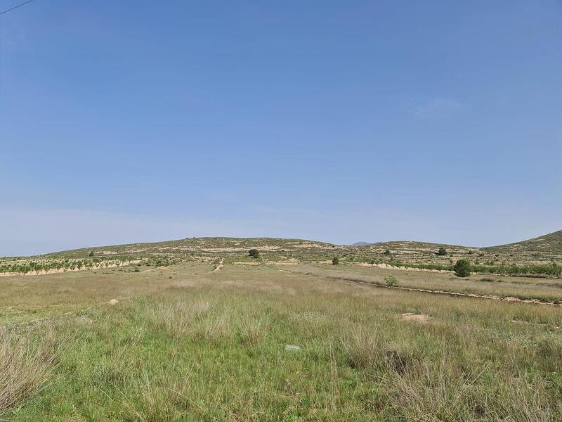 Land for sale in Jumilla, Murcia