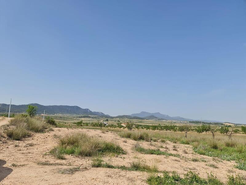 Land for sale