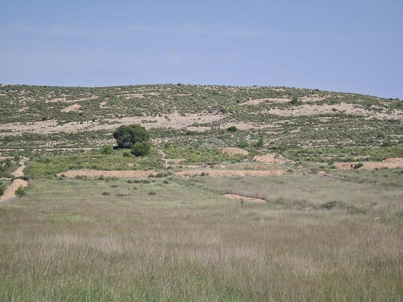 Terrain à vendre