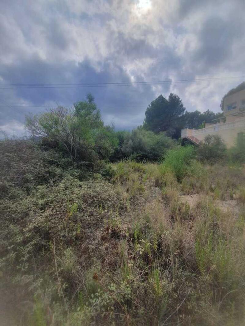 Land for sale