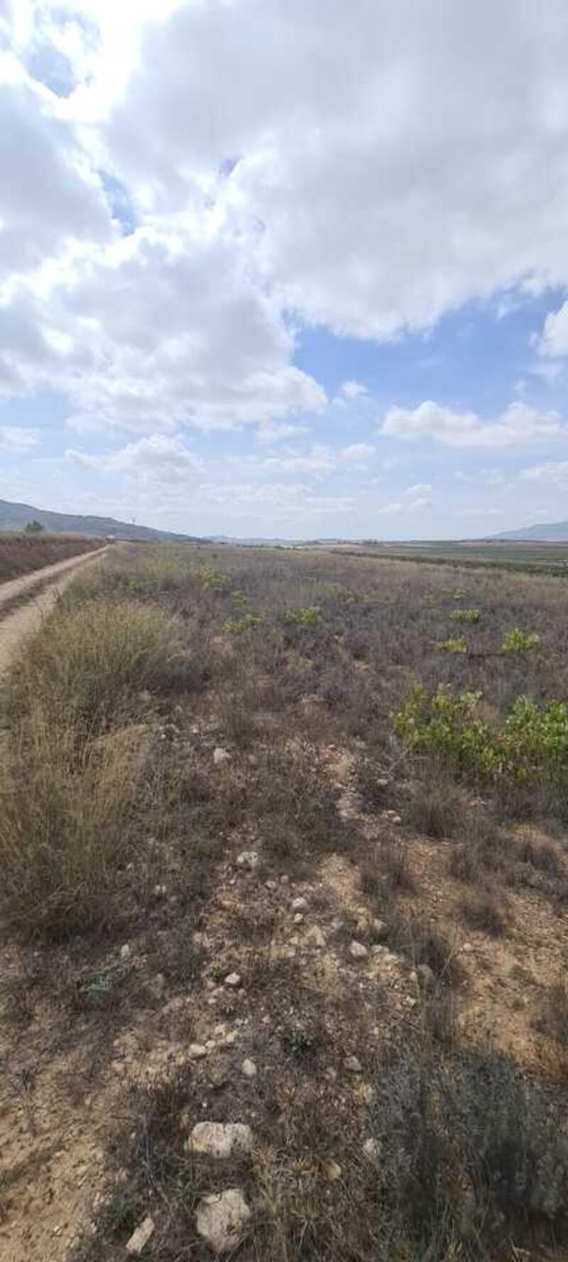 Land for sale in Culebron, Alicante