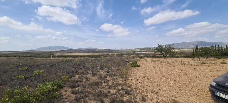 Land for sale