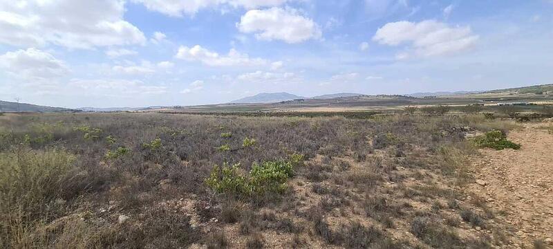 Land for sale