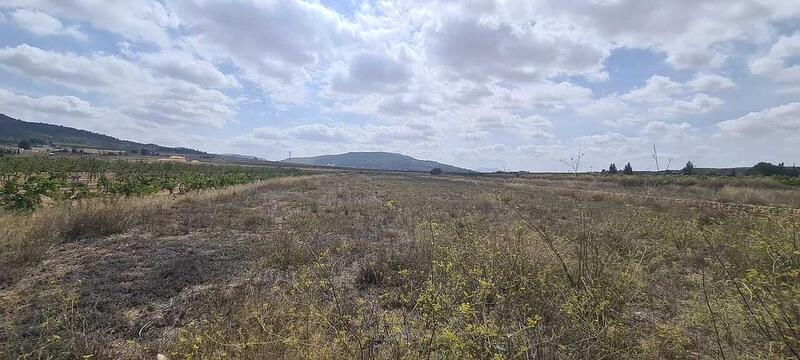 Land for sale in Culebron, Alicante