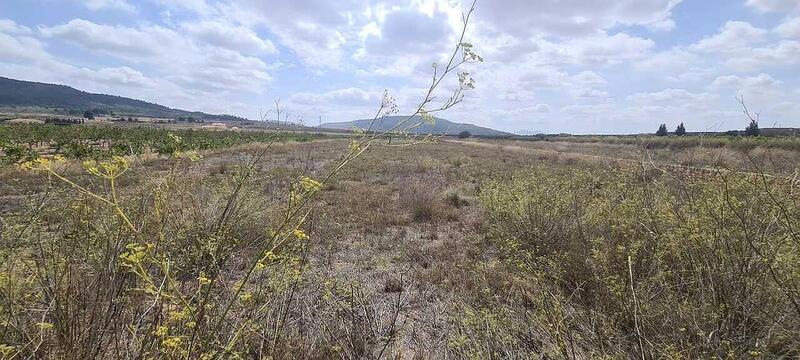 Terrenos en venta