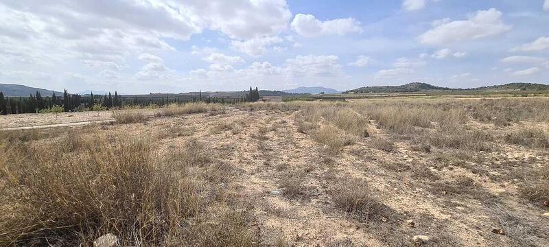 Land for sale