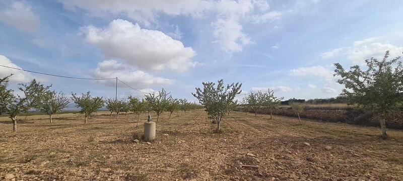 Grundstück zu verkaufen in Yecla, Murcia