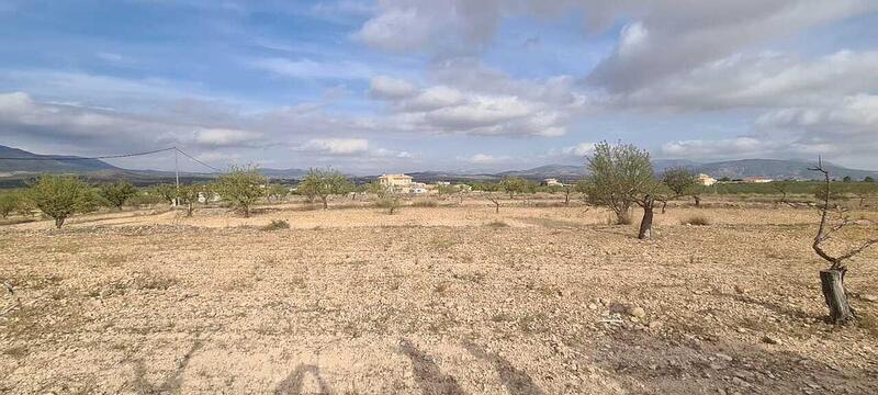 Land for sale in Pinoso, Alicante