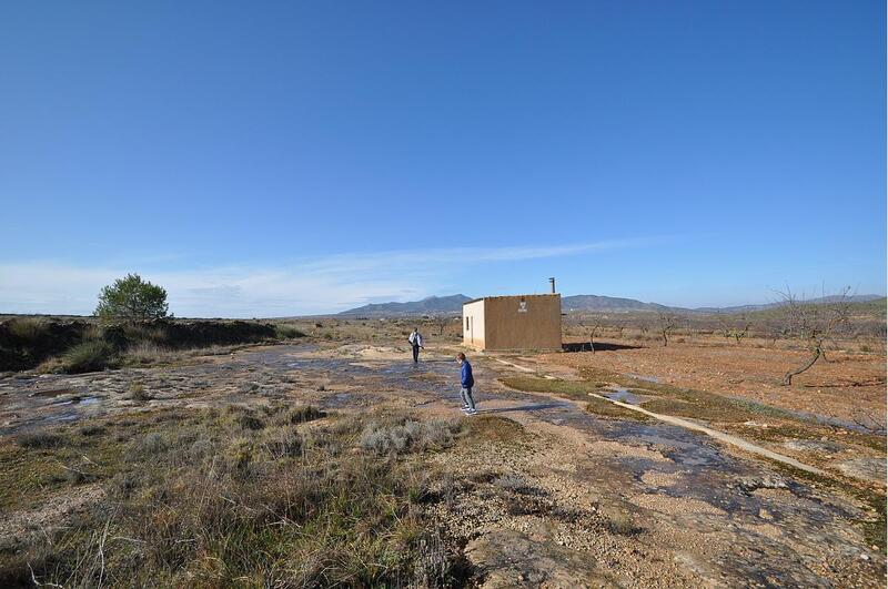 Landa till salu i Pinoso, Alicante