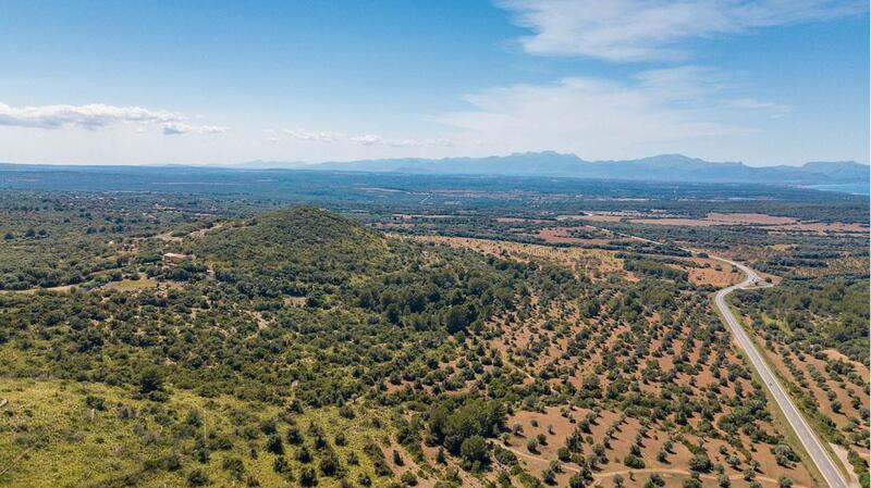 7 Cuarto Casa de Campo en venta