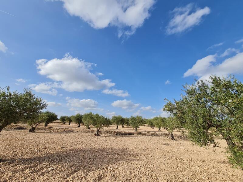 1 Cuarto Casa de Campo en venta