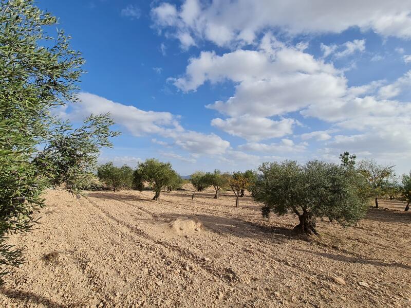 1 Cuarto Casa de Campo en venta