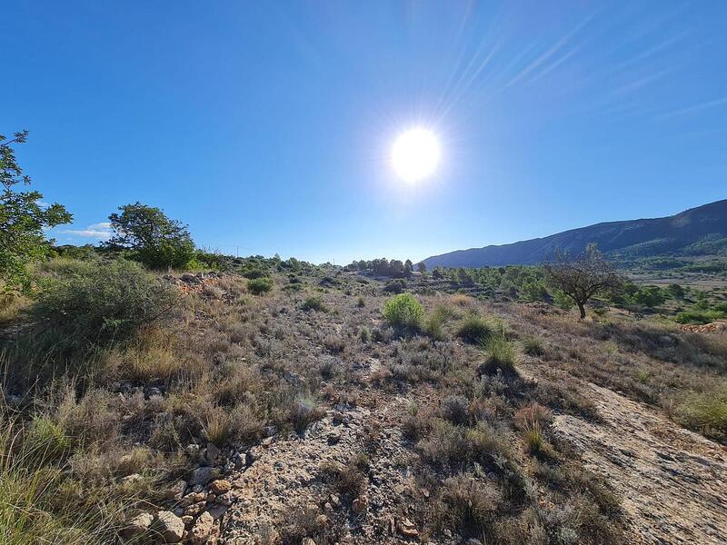 Terrenos en venta en La Romana, Alicante