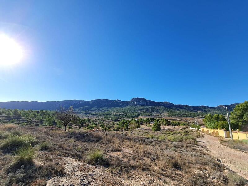 Terrain à vendre