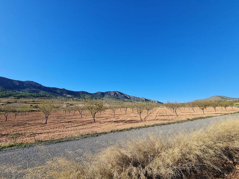 Land til salgs i La Romana, Alicante