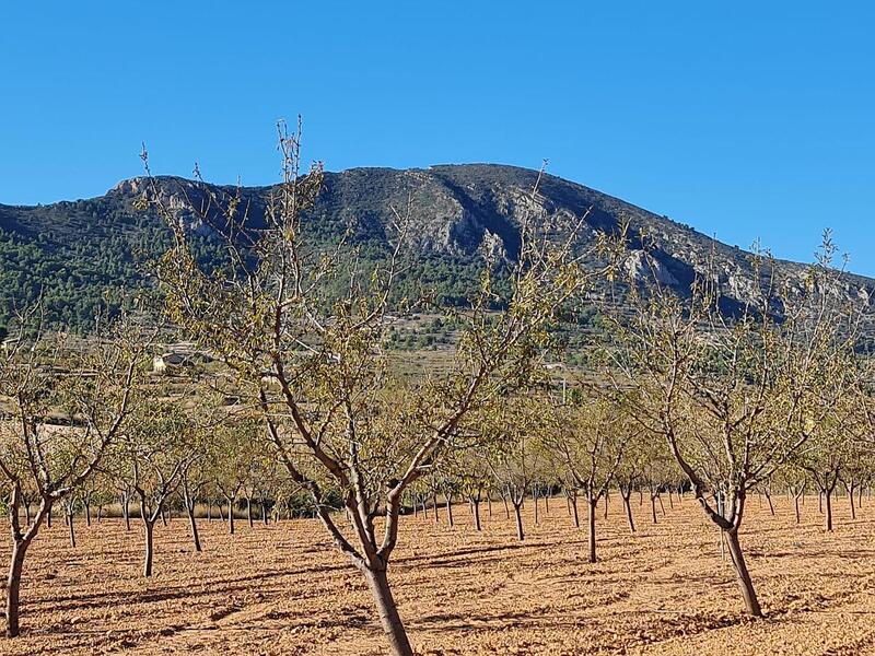 Terrenos en venta