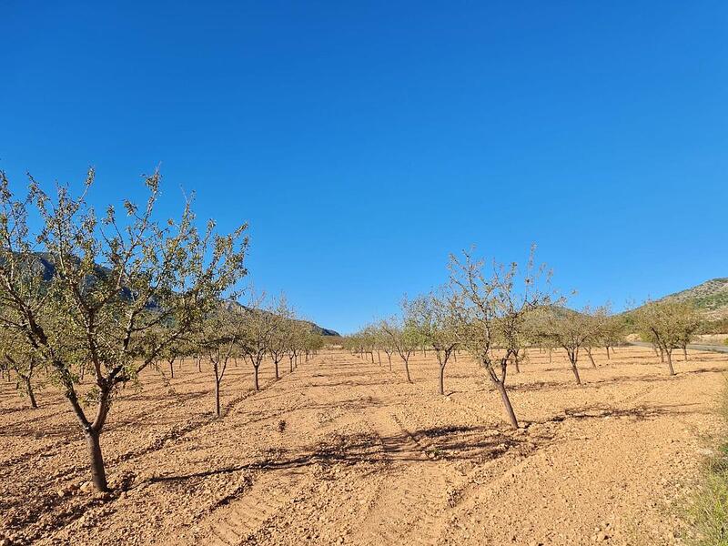 Terrenos en venta