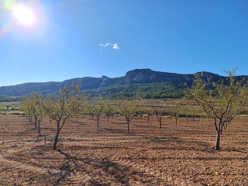 Terrenos en venta