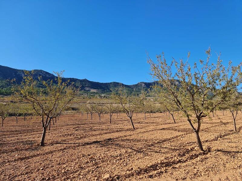 Terrenos en venta