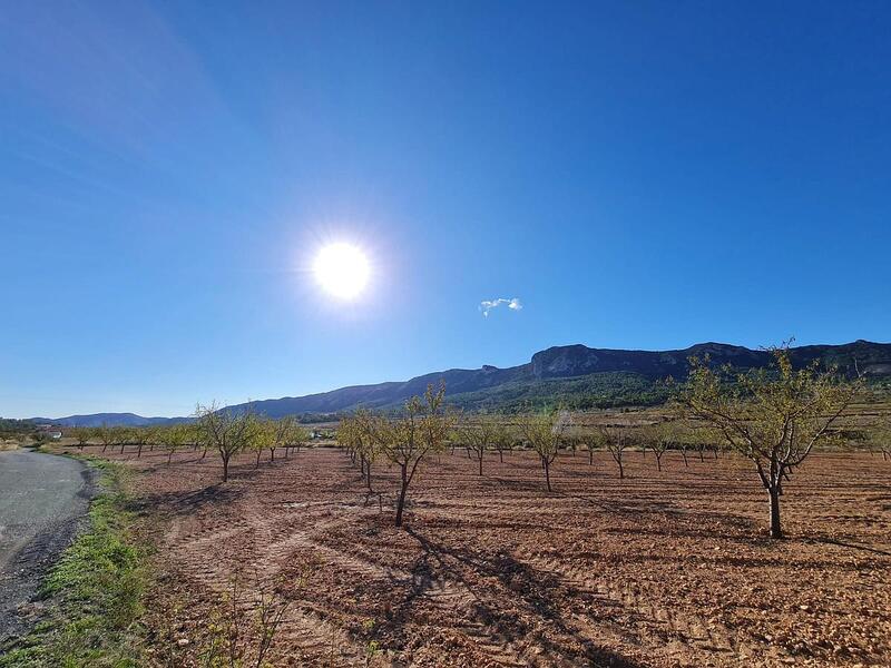 Terrenos en venta