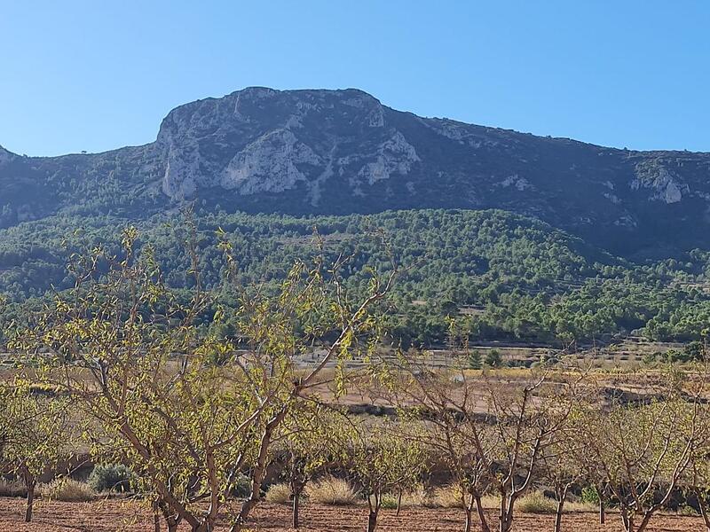 Terrain à vendre