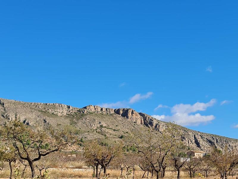 Terrain à vendre