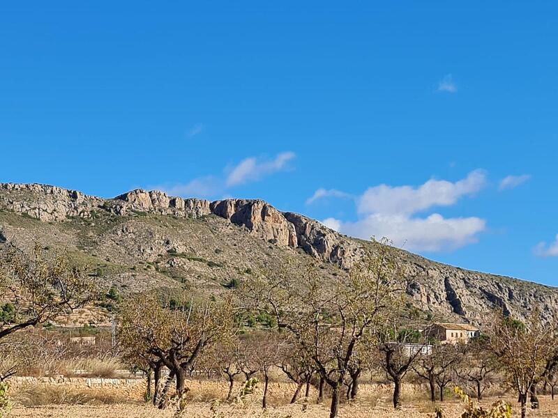 Terrenos en venta