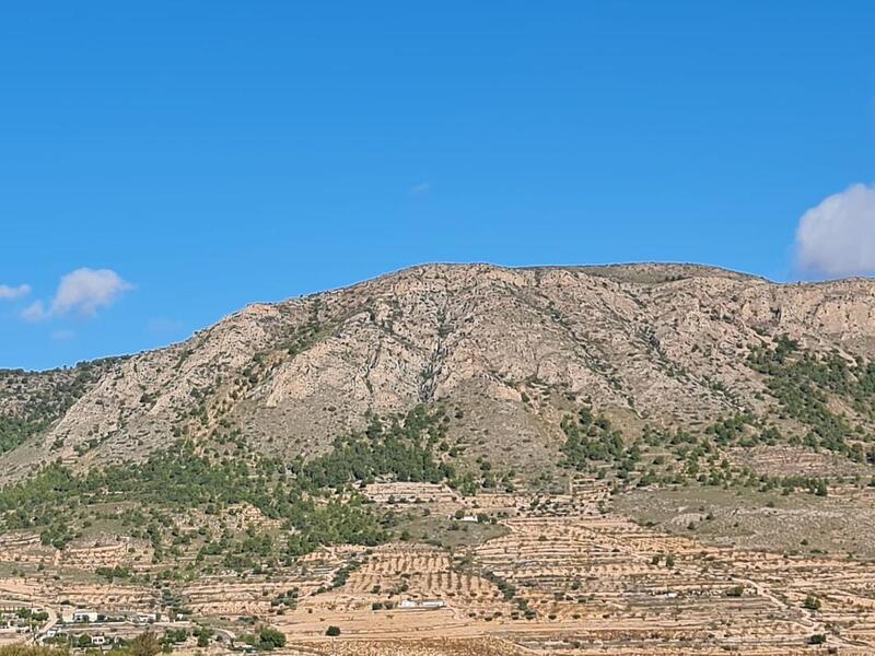 Landa till salu i La Romana, Alicante