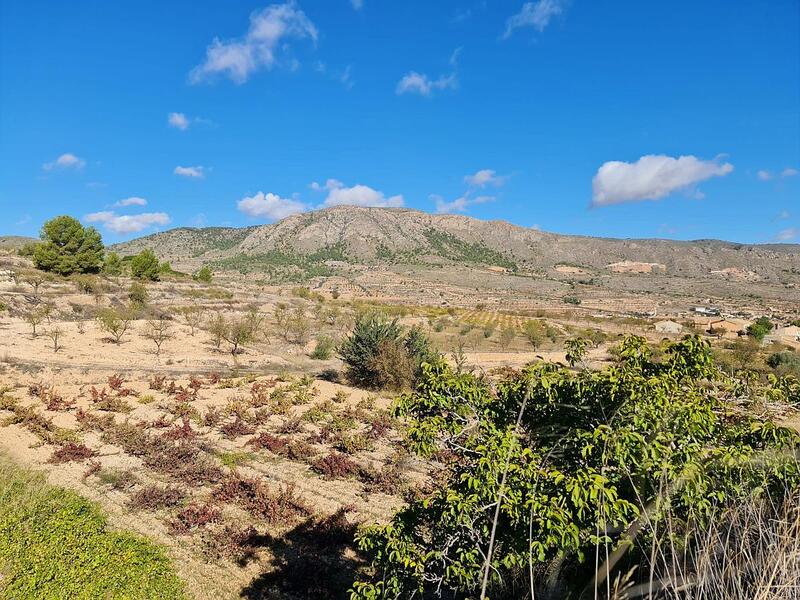 Terrain à vendre