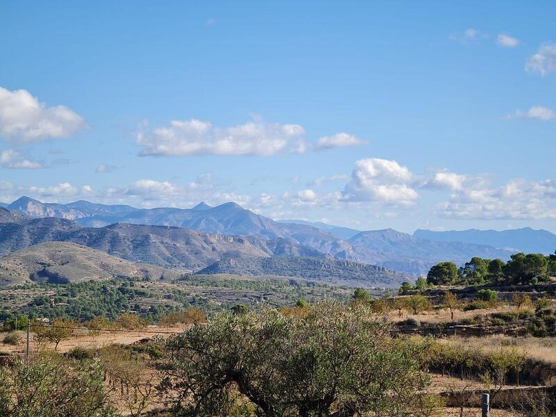 Terrenos en venta