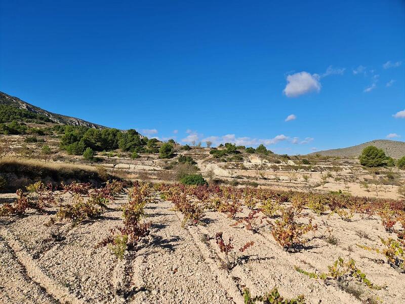 Terrain à vendre