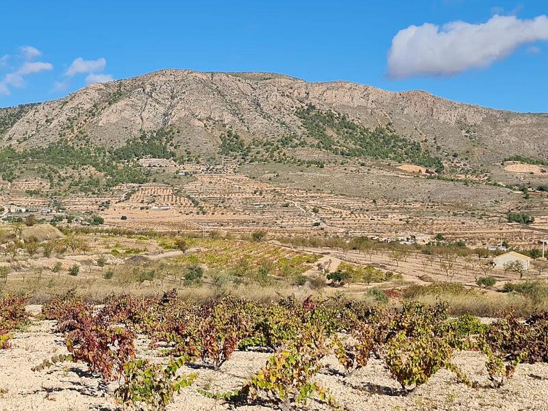 Terrain à vendre