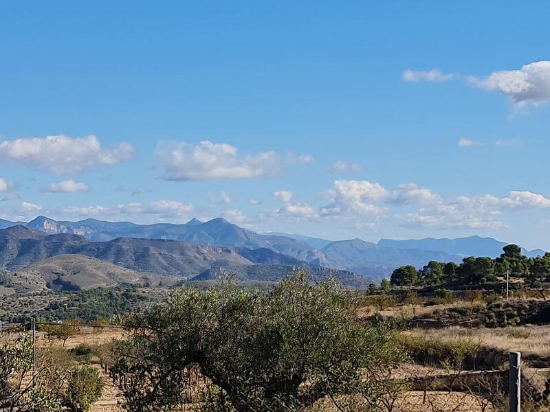 Terrenos en venta