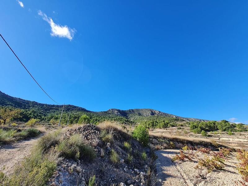 Terrain à vendre