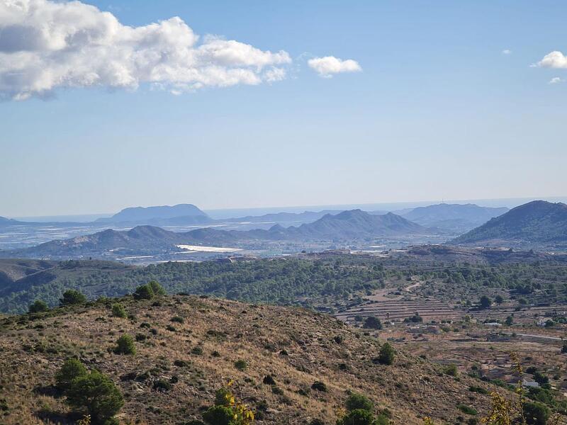 Jord til salg i La Romana, Alicante