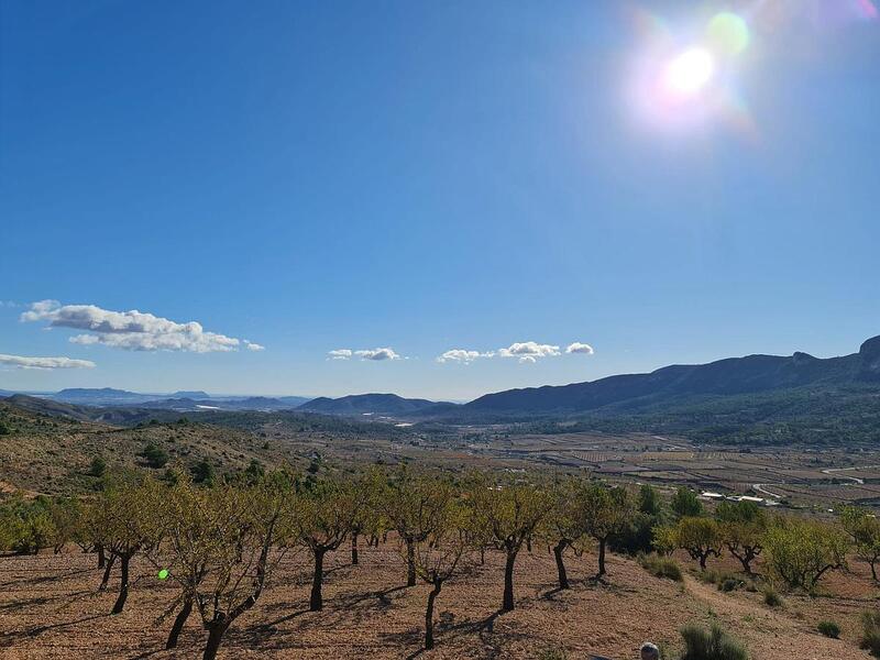 Terrenos en venta