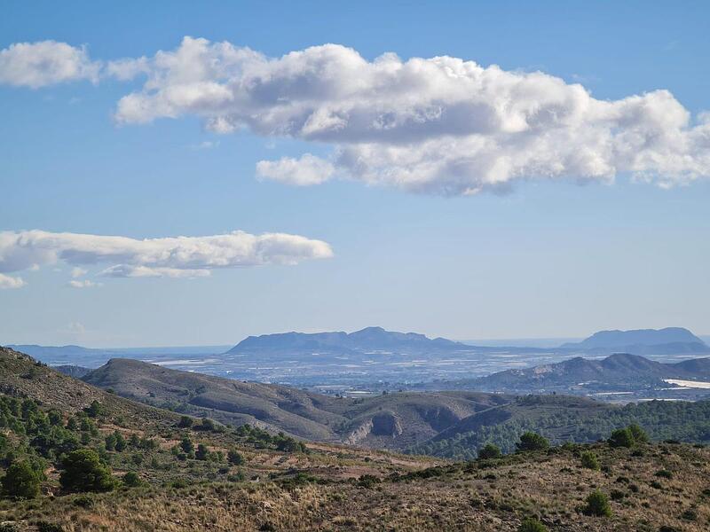 Terrenos en venta