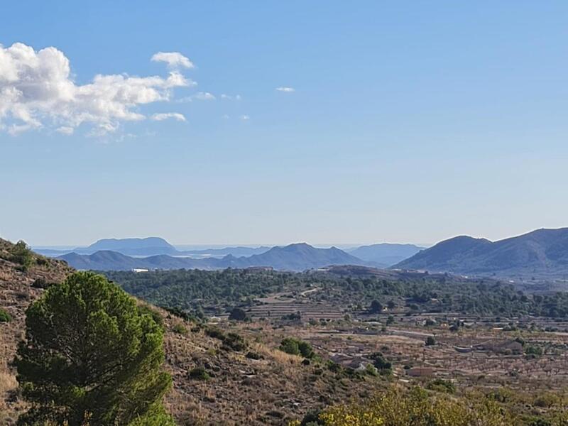 Land for sale in La Romana, Alicante