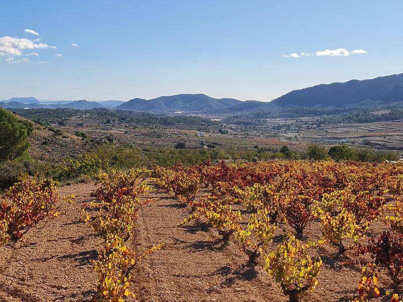 Terrenos en venta