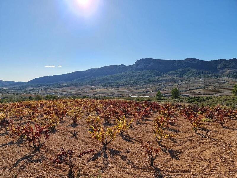 Terrenos en venta