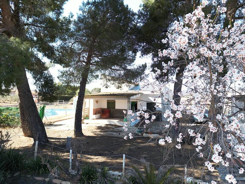 Country House for sale in Yecla, Murcia