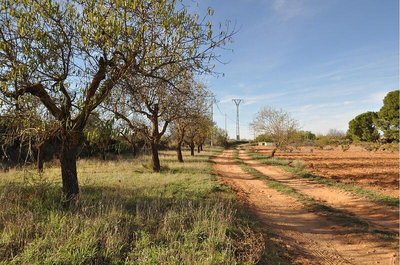 4 Cuarto Casa de Campo en venta